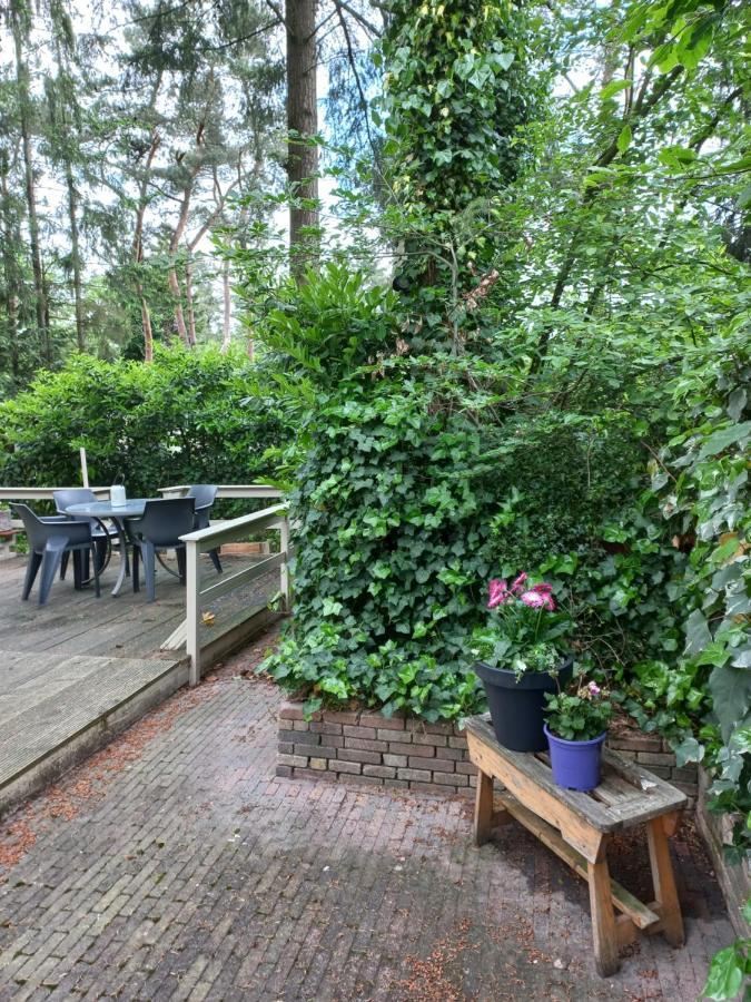 Villa Vogelzang à Hattemerbroek Extérieur photo